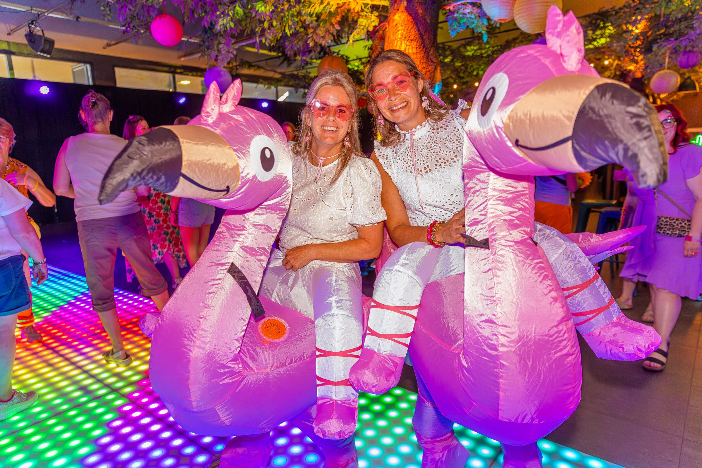 opblaasflamingos op dansvloer